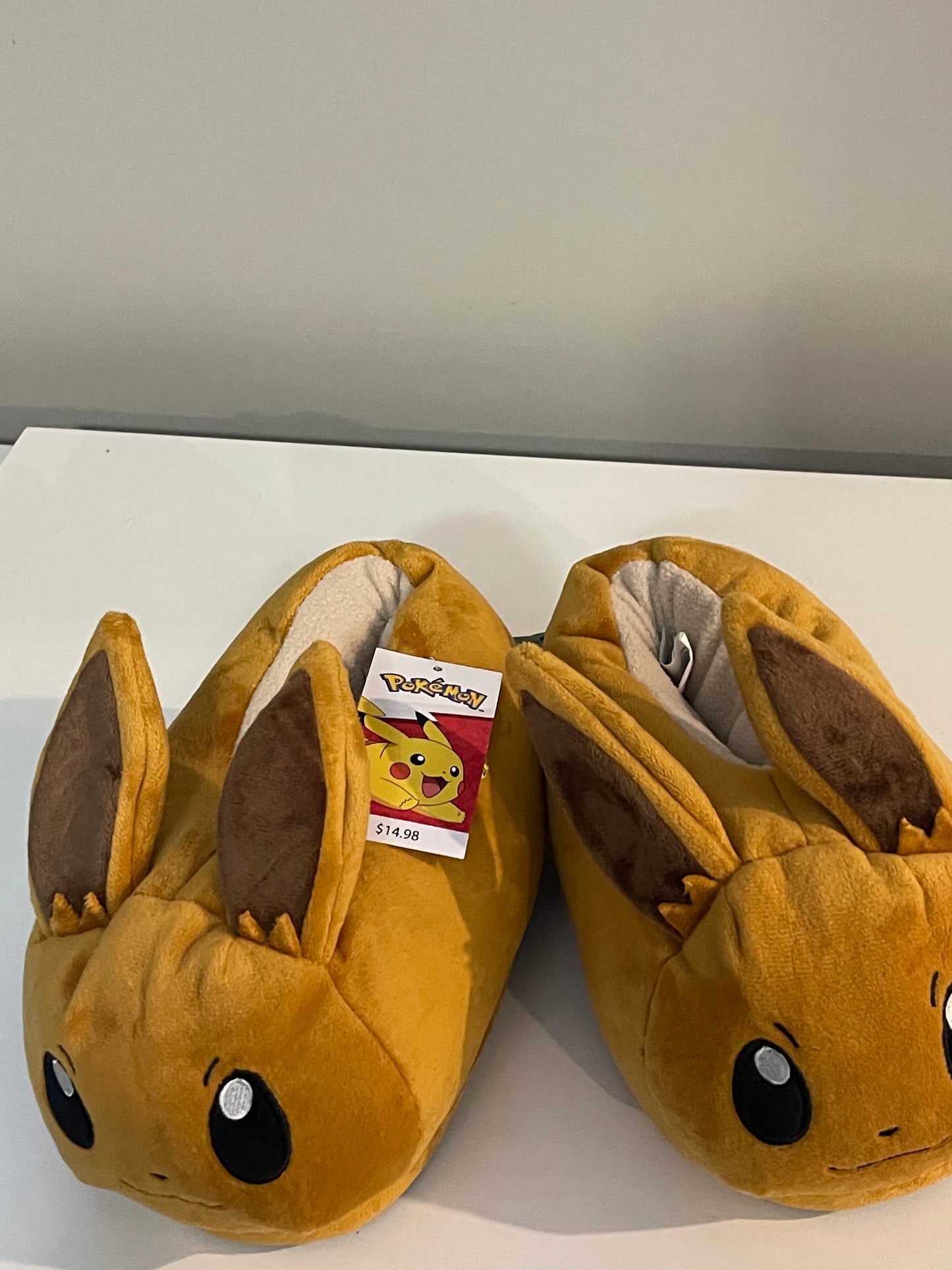 Pokémon slippers